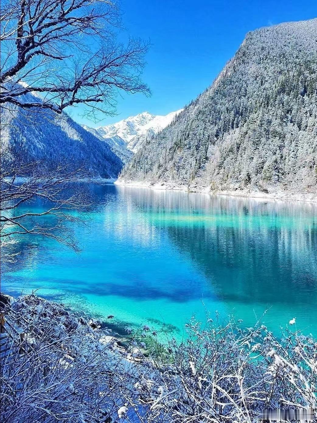 2025四川省文化和旅游发展大会四川旅游顶流风采尽显!近千家A级景区里,峨眉山