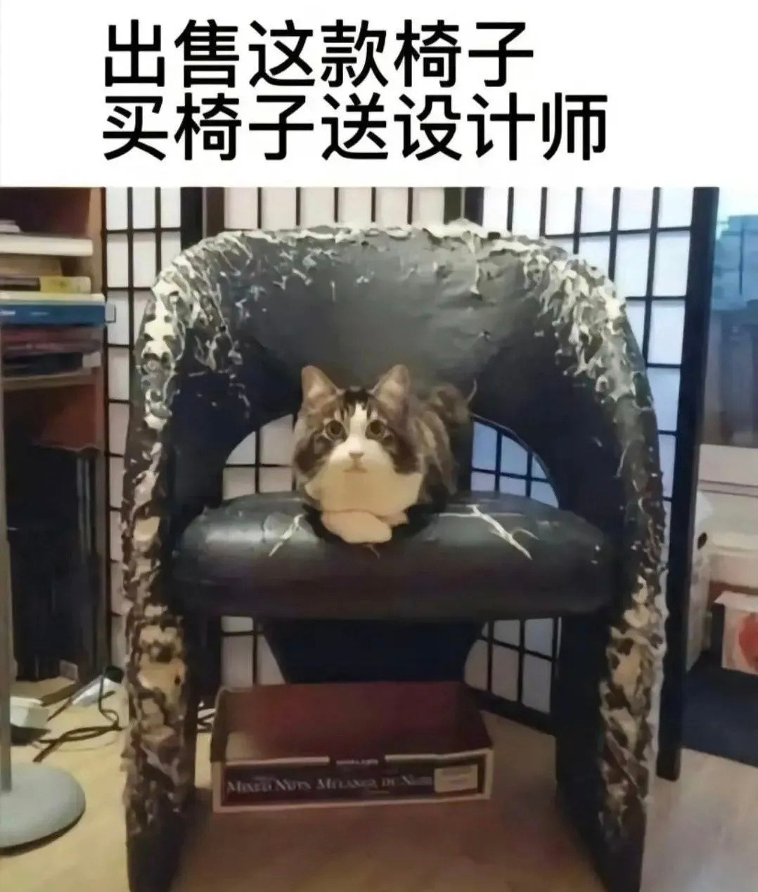 猫:纯手工打造的～猫meme​​​​