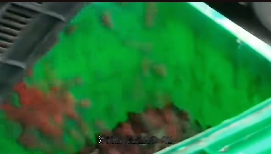 杨梅浸泡药水为何成公开秘密！！！杨梅浸泡药水成公开秘密，真让人无语。现在很多商