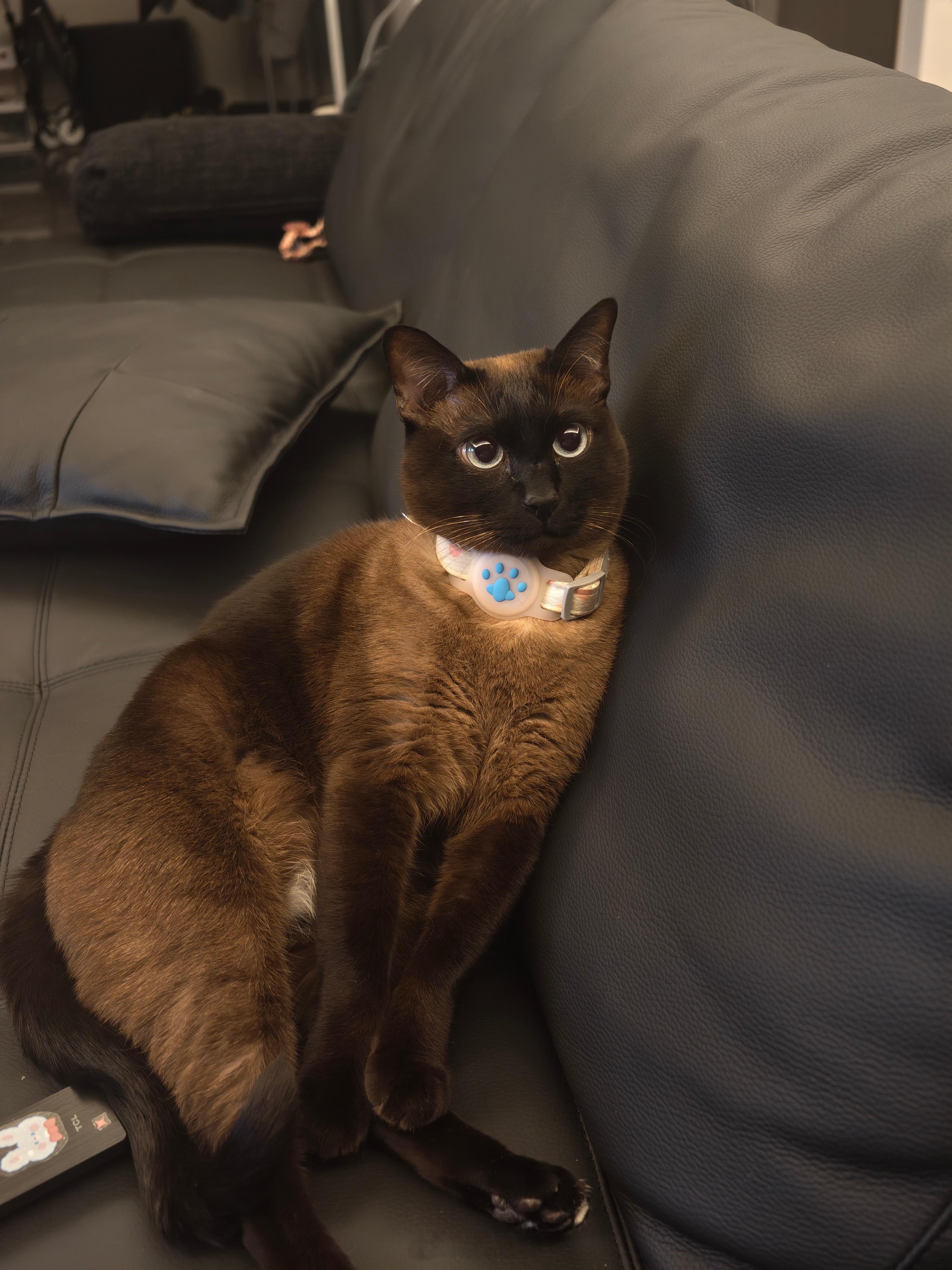 今晚19:30u23国足vs乌兹别克斯坦u23然后20:30曼联vs曼城这时