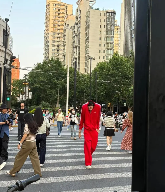 向佐上海出行，又让人惊呆了