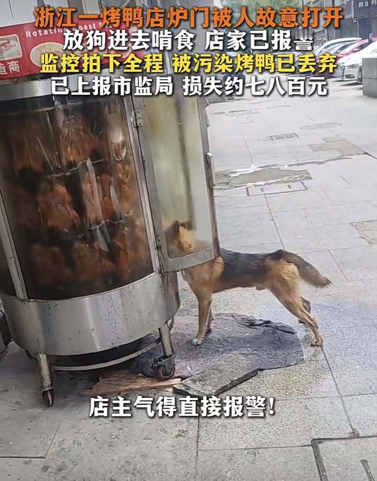 狗啃烤鸭，剩余27只全部遭殃！浙江绍兴，一家烤鸭店摆在店门口的烤炉，里面还有2