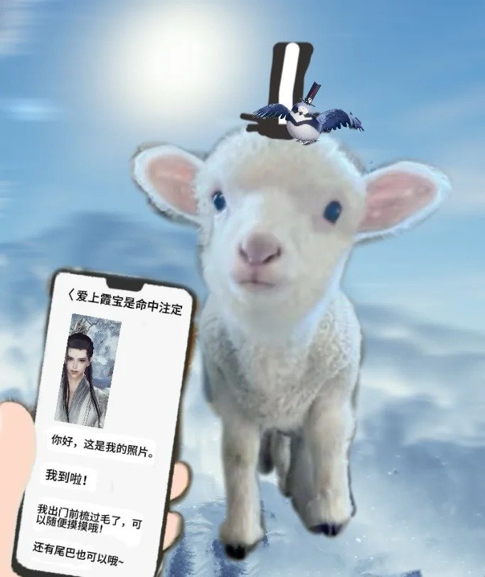 网恋奔现需谨慎姐姐开门，系我小咩呀~剑网3剑网3无界​​​