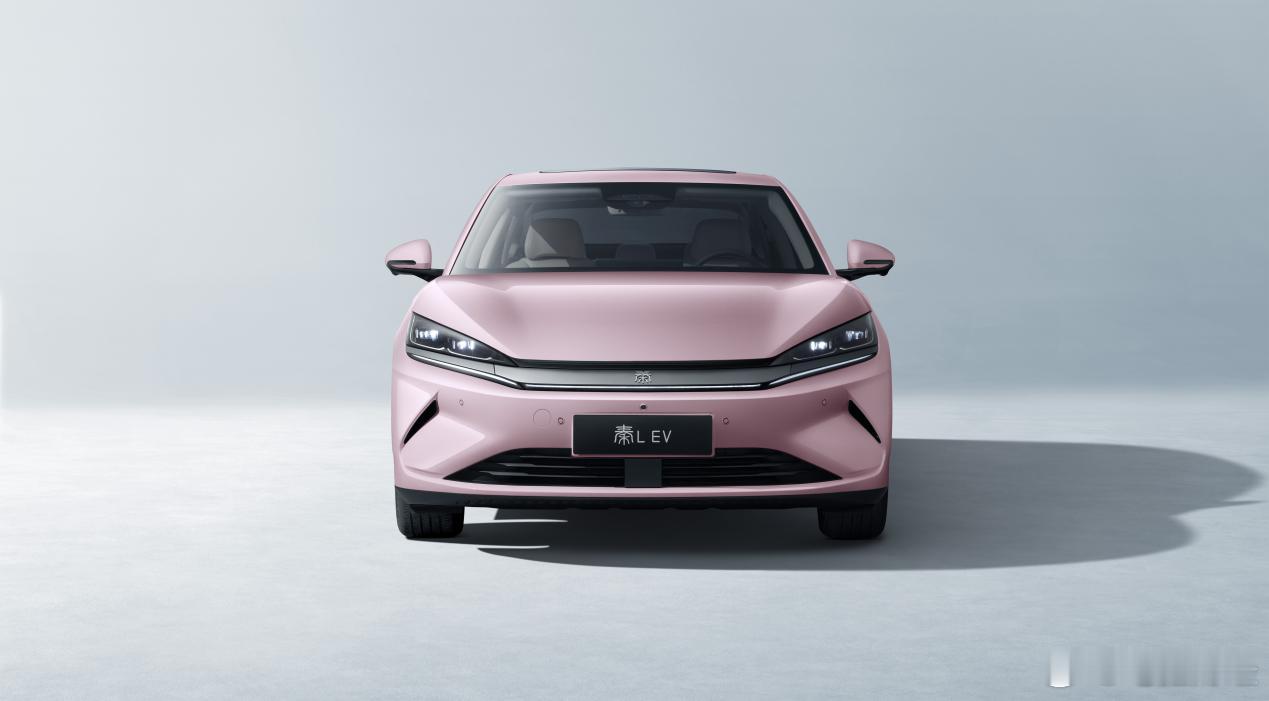 压力给到MONAM03秦LEV云辇型这配置完全没法拒绝限时12.98万