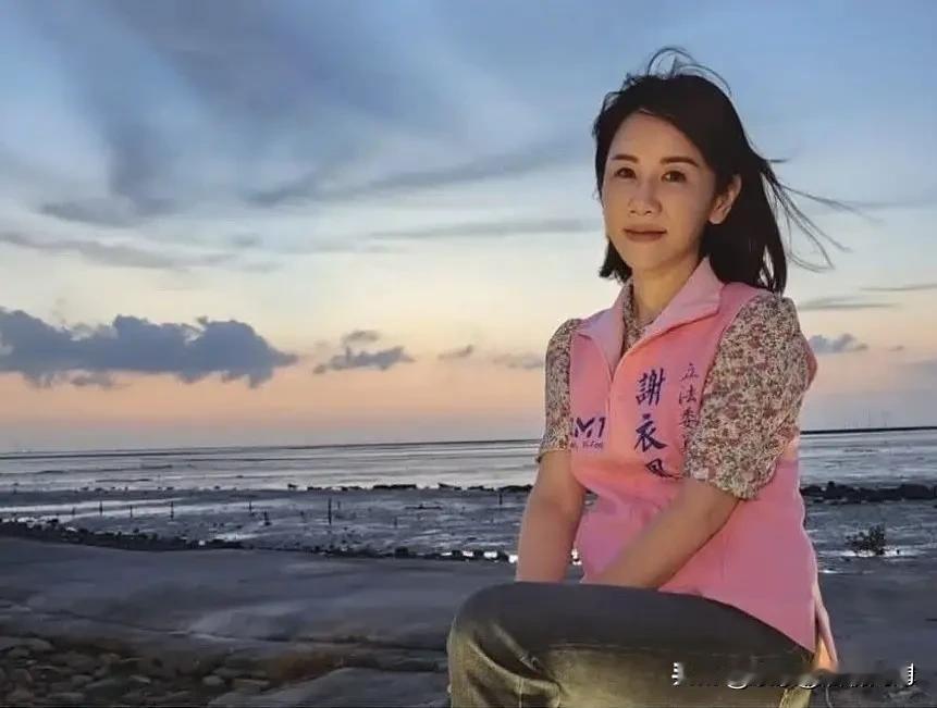 谢衣凤非要硬刚选到底，还痛批国民党中央把好棋下烂，说实话，这件事你真的赖不上人家
