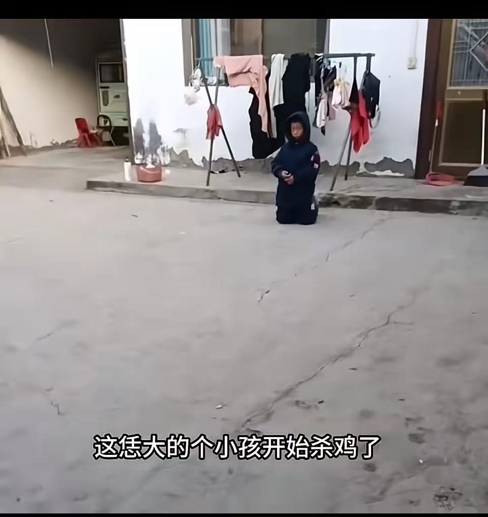 10岁男孩偷杀家鸡被罚跪！网友吵翻：心态比杀鸡更该警惕院子里的鸡毛与血迹，