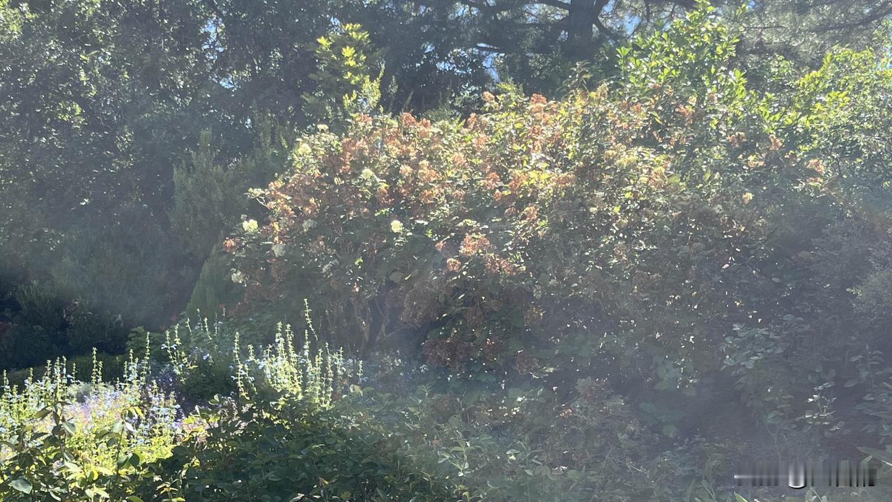武汉地下代孕窝点被查，我最想问的却是：5月份举报后，为何只停了几天？看到武汉