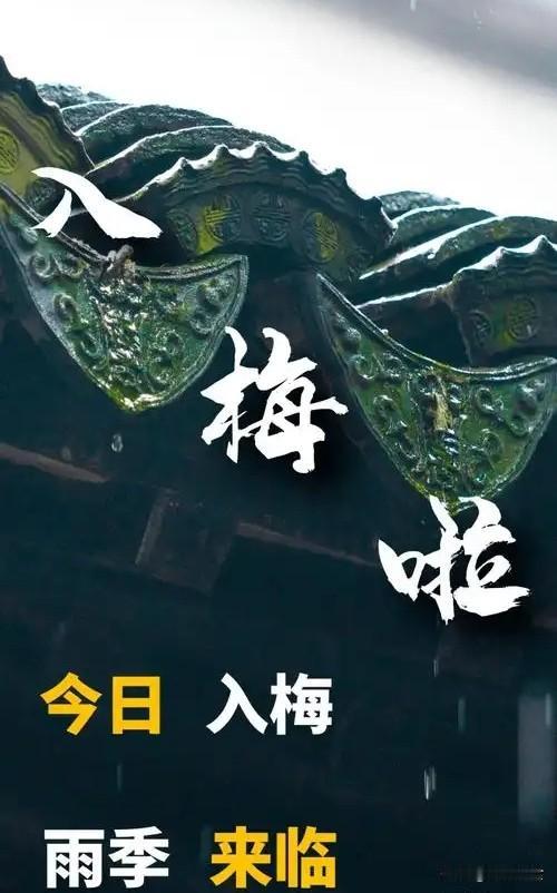 今日入梅，有空没空，记得：1不上、2不提、3不怒、4要做2026年6月11