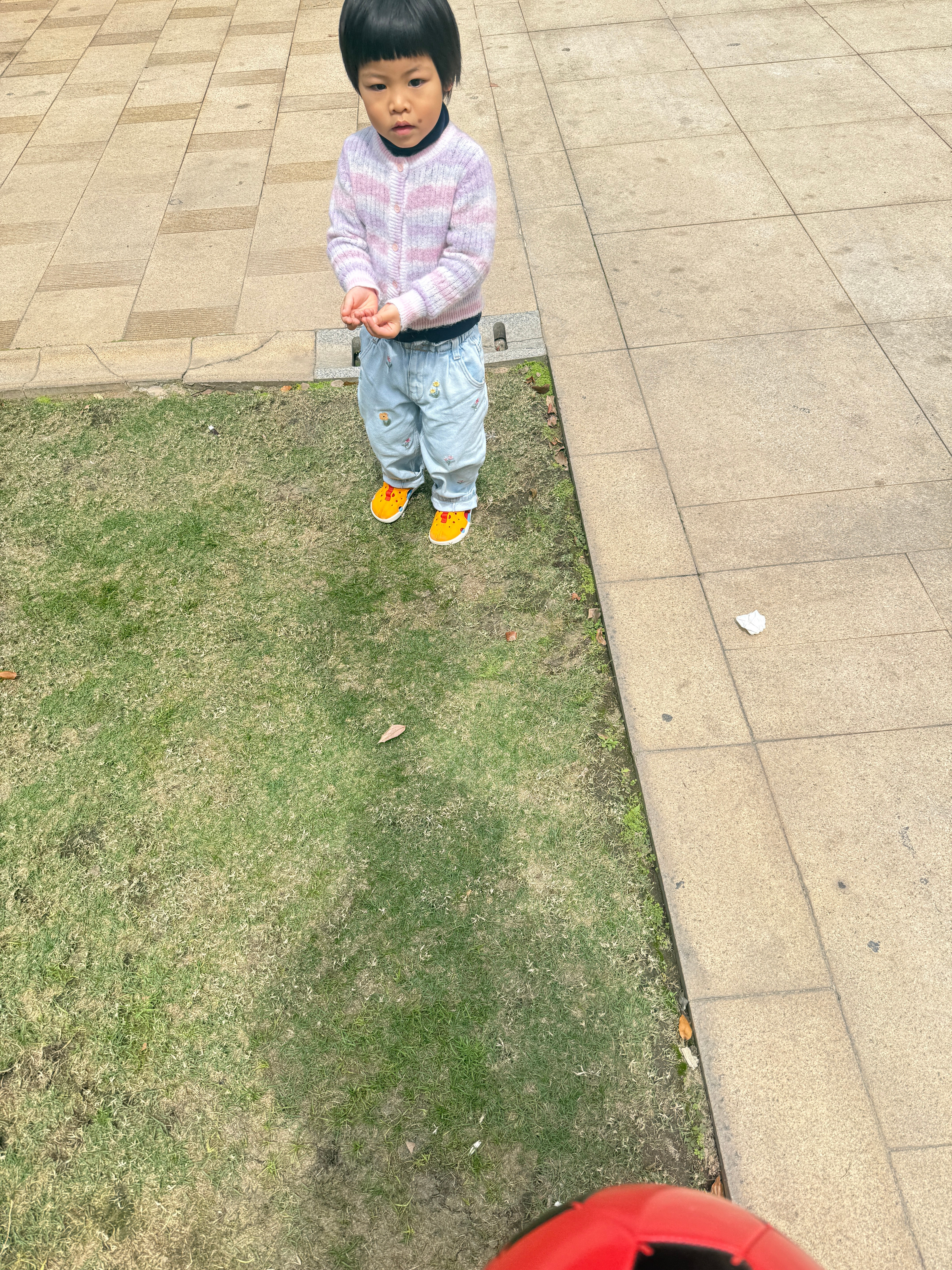 然后这个球就砸到球球脸上了（没拍到对自己彻底无语带娃随手拍