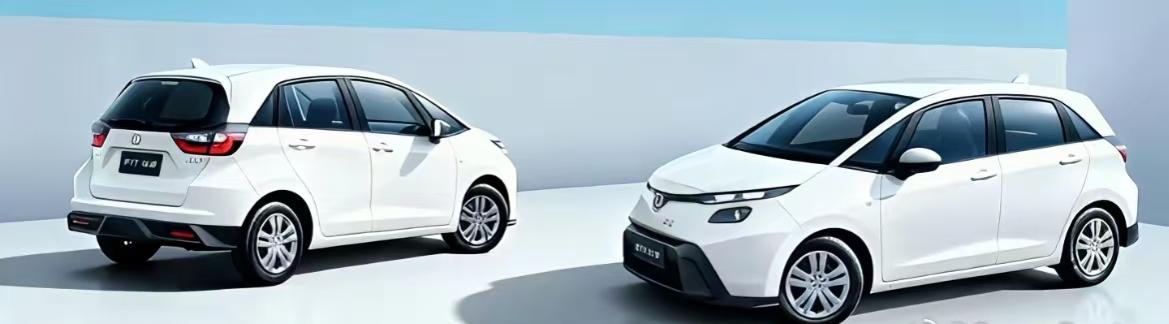 本田飞度真想留在中国的话，恐怕就只有一条路可走。本田飞度11月份居然连一辆车都