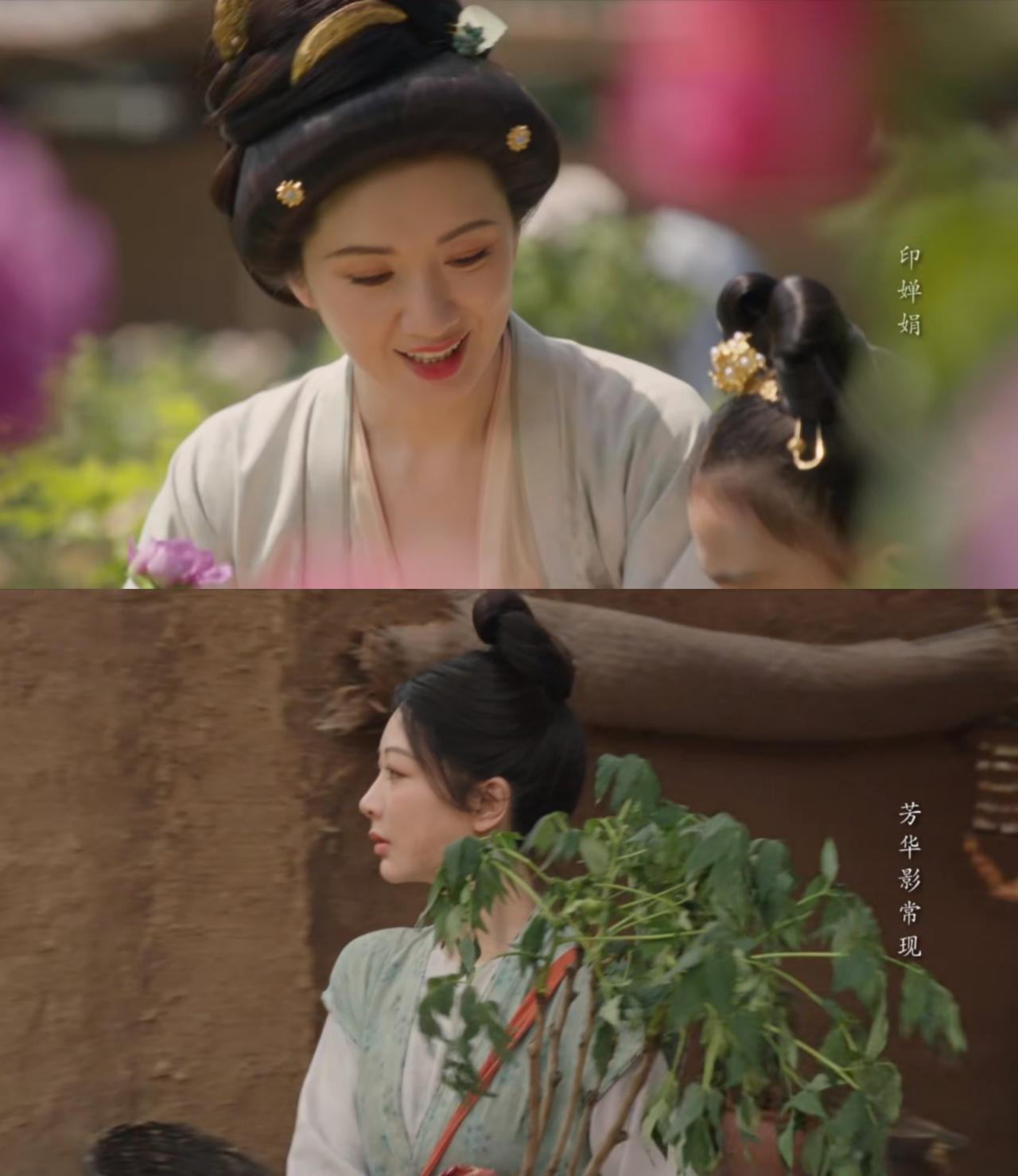重温《锦绣芳华》第一部《国色芳华》的经典台词（二） 【这株花的根须纤弱，能获