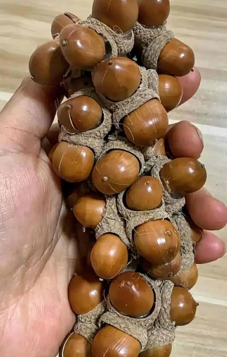 儿时的玩具，有知道这个是什么的吗？
