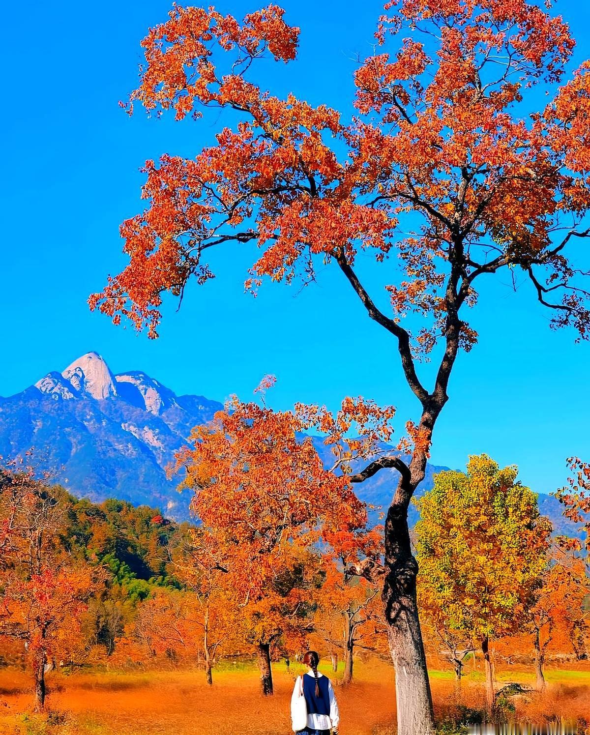 告诉你个秘密：真正宝贵的东西，都是低谷期给你的。我看见他整日把自己关起来，推开