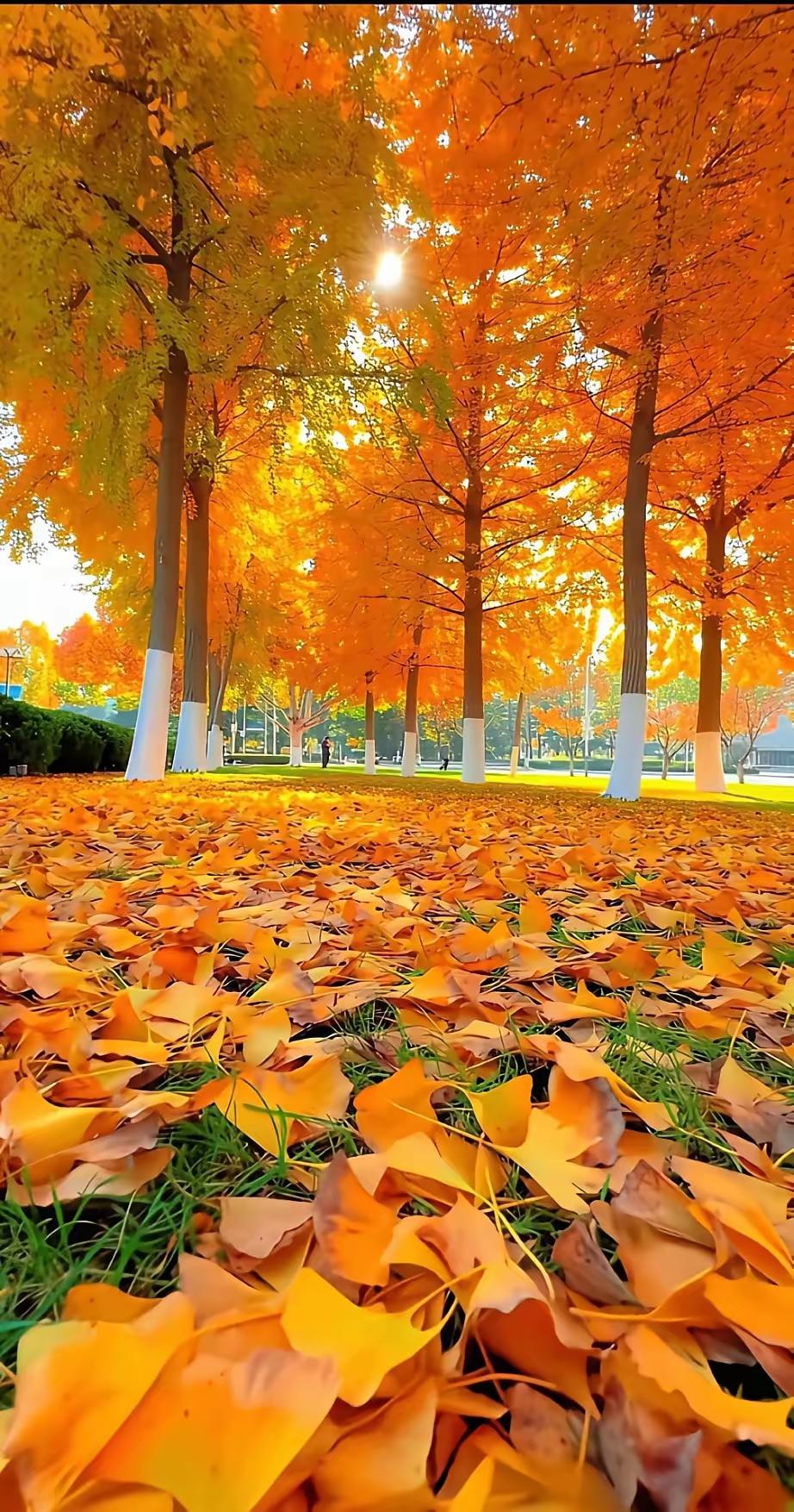 社保制度是建立在缴纳社保基础上的一项养老制度，既不“锦上添花”，也不“雪中送炭”