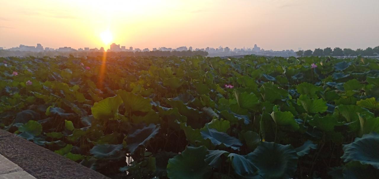 分享我这周有趣的事：你见过西湖边最美的日出吗，破晓时分，西湖醒了，朝阳揉碎一湖粉