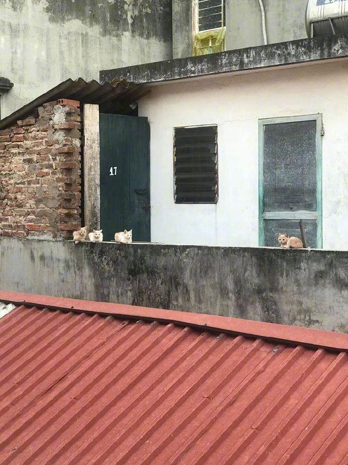 每次到阳台晾衣服，都感觉被监视了...