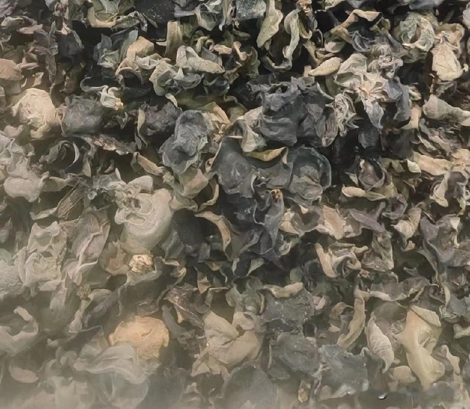 南方人跟北方人买东西绝对不一样……就拿挑木耳这件事来说，​有一次在老家一个永辉