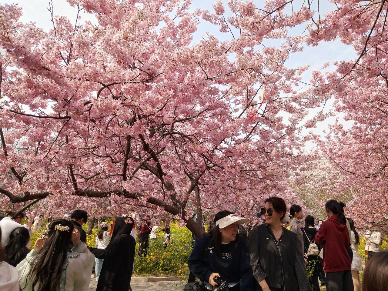 母亲拿过期的东西给我，我没有揭穿，还是接受了，但是心里很不舒服。过年的时候，