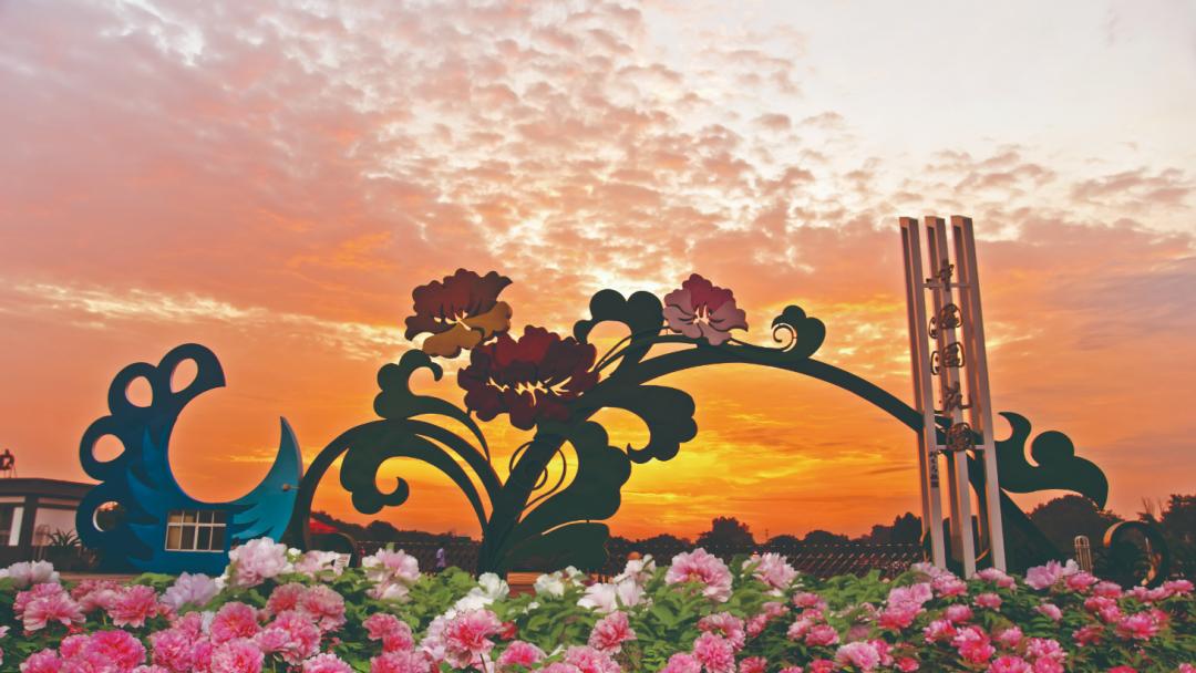 洛阳财政增长稳定！2025年洛阳全市地方财政收入为421.8亿元，同比增