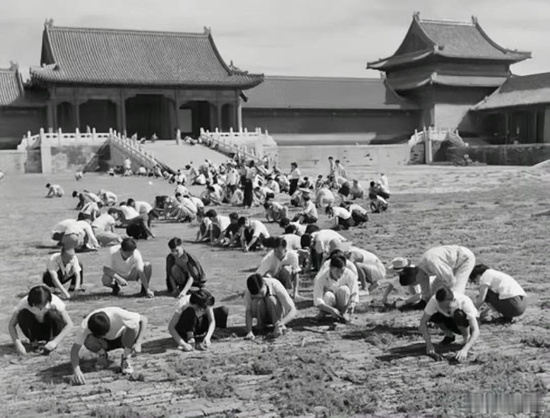 1949年，为迎接新生的人民政权并向公众开放，故宫启动了大规模清理工程。从19