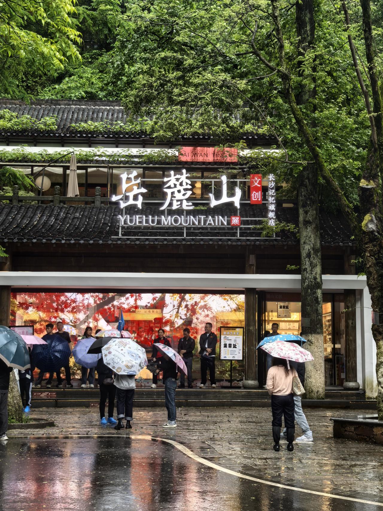 长沙游记：雨中独行岳麓山来长沙的两日，细雨绵绵，爱人在酒店休息，