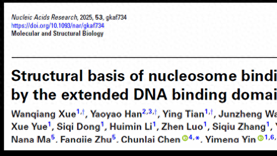 冷冻电镜捕捉关键画面! 我国科学家首次解密RFX5调控基因“胶卷”分子机制