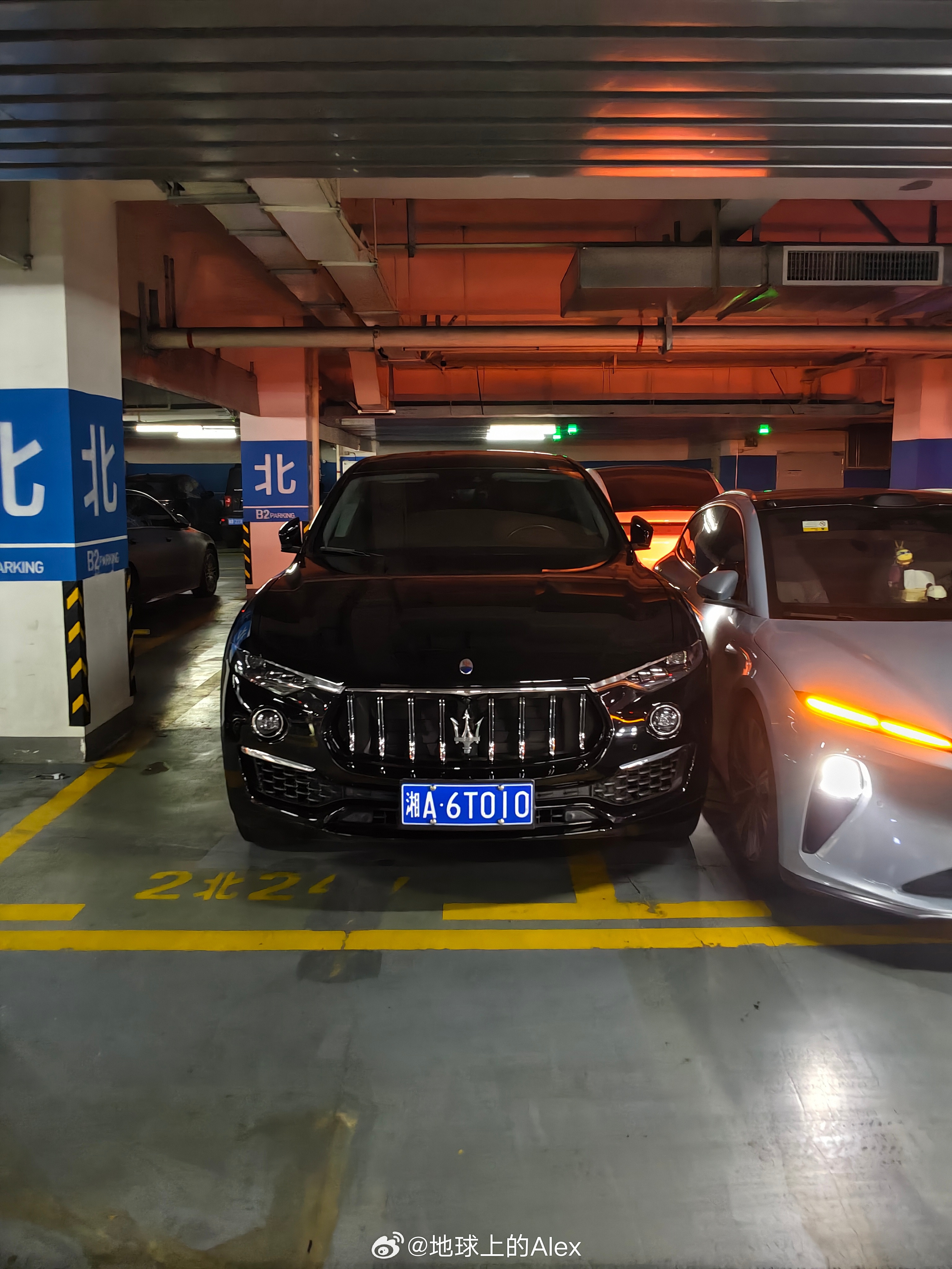 舒服了，这样子停车就应该让他爬进去