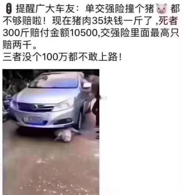 提醒广大车友：单交强险撞个猪都不够赔啦！