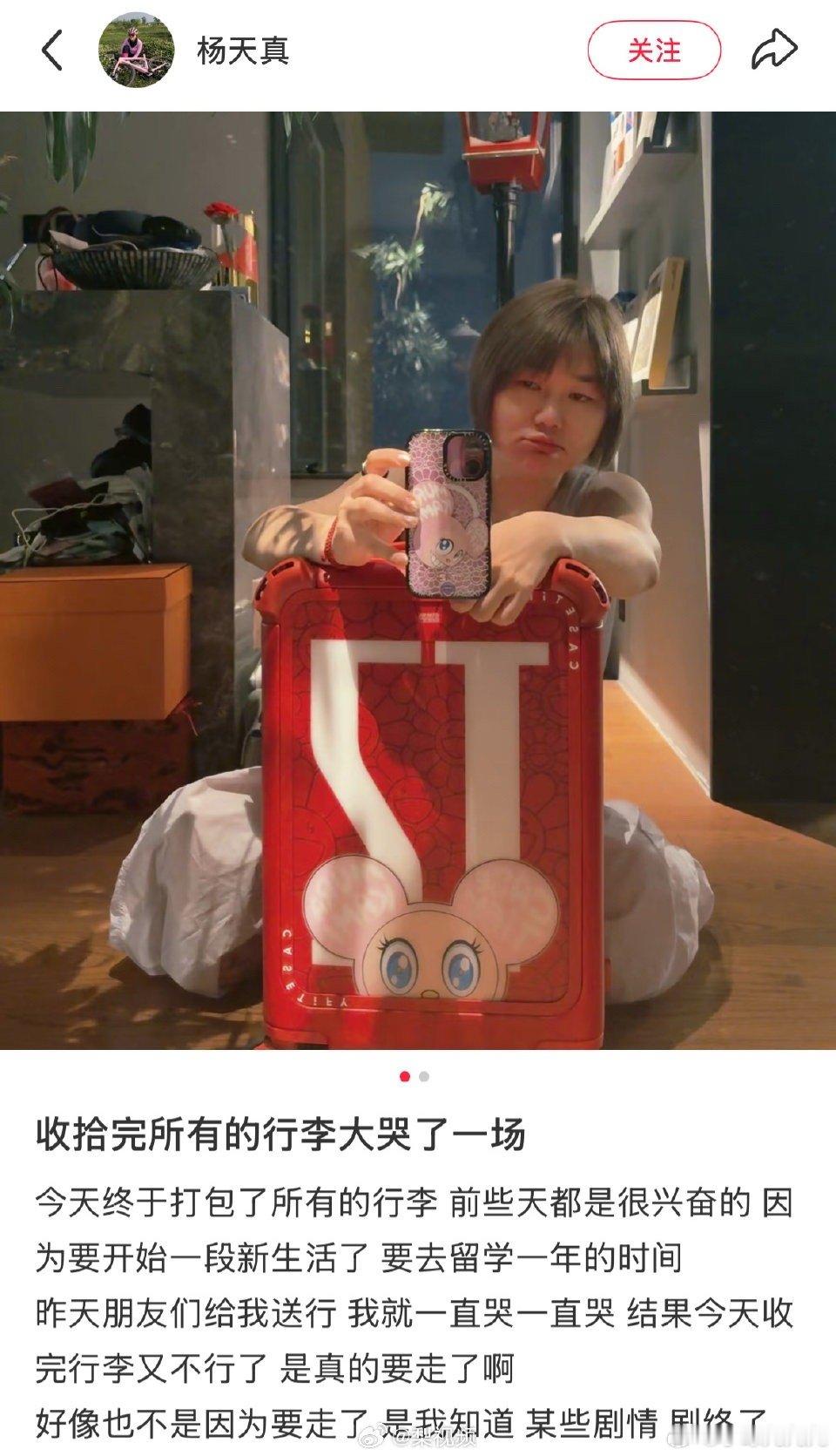 杨天真要去留学一年……我只能说好羡慕这种有钱有闲能说走就走的生活……​​​