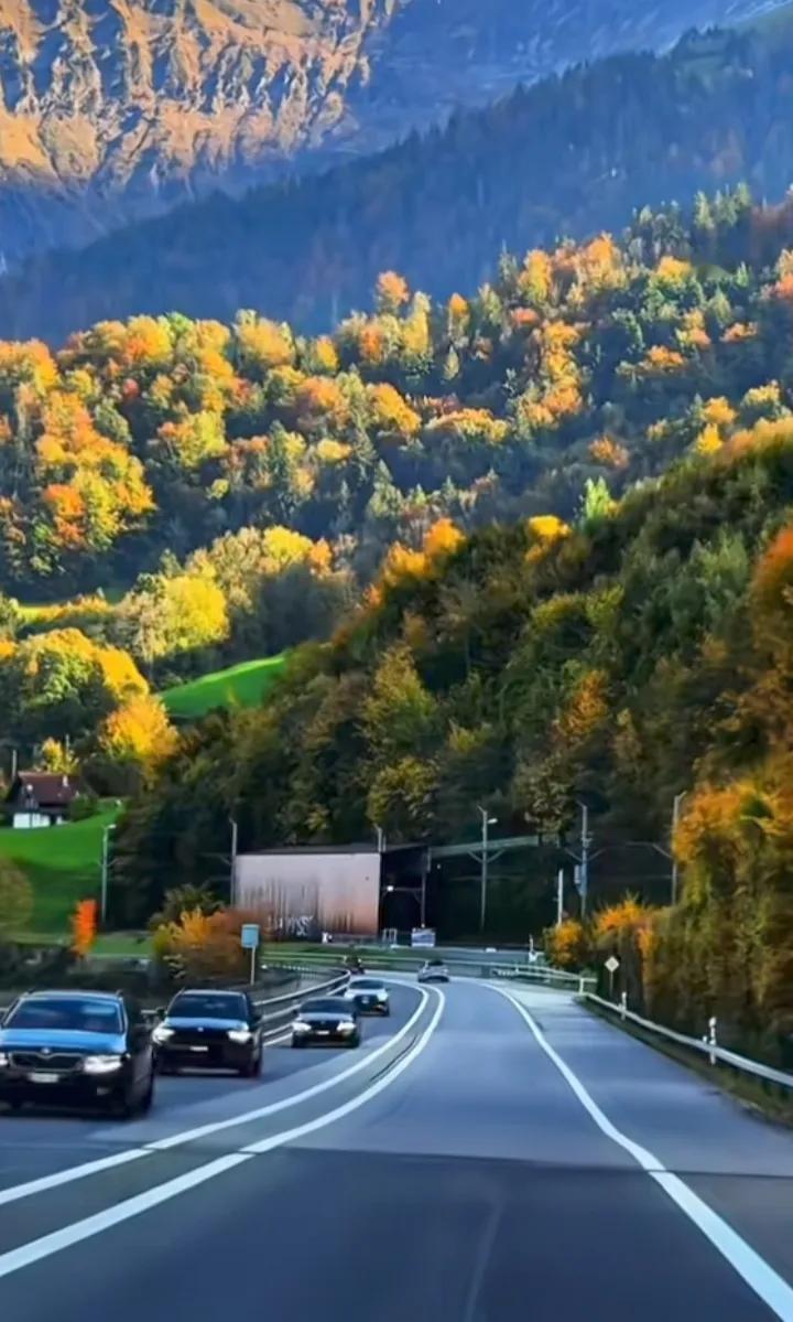 🌄🍃一路上的风景如诗如画，心情也跟着美美哒~旅行风景醉美的旅行路