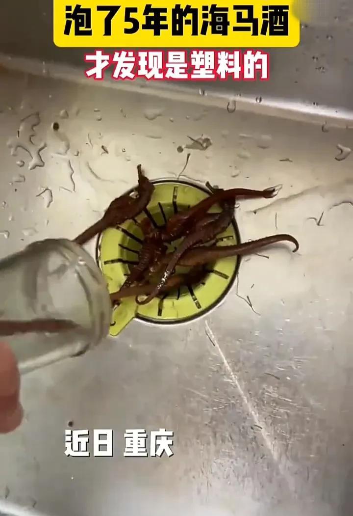 太倒霉了！近日，重庆一名男子发视频称，自己五年前买了一些海马，用来泡海马酒，没想