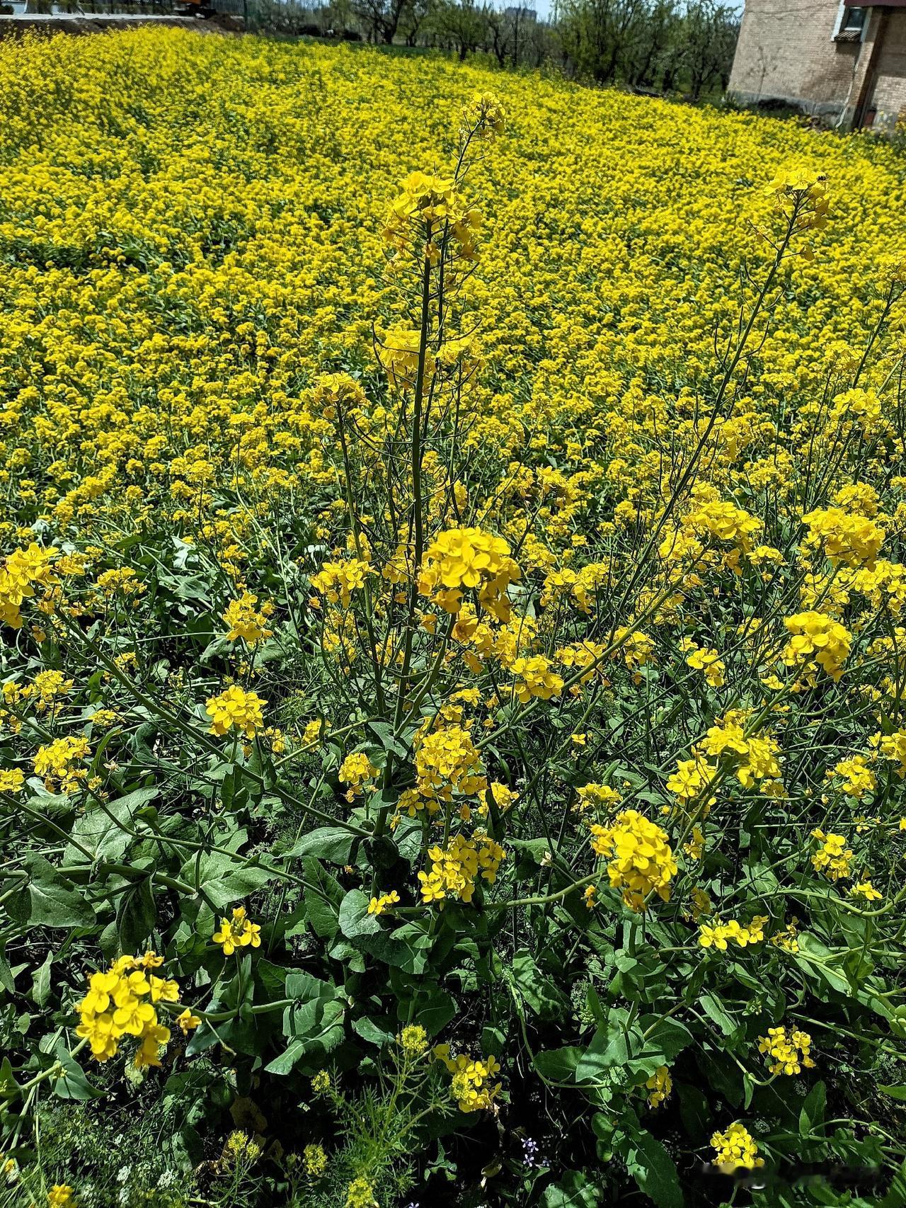 人民日报醍醐灌顶的一段话:“物质上都亏欠你的人，精神上更无法滋养你。换句话