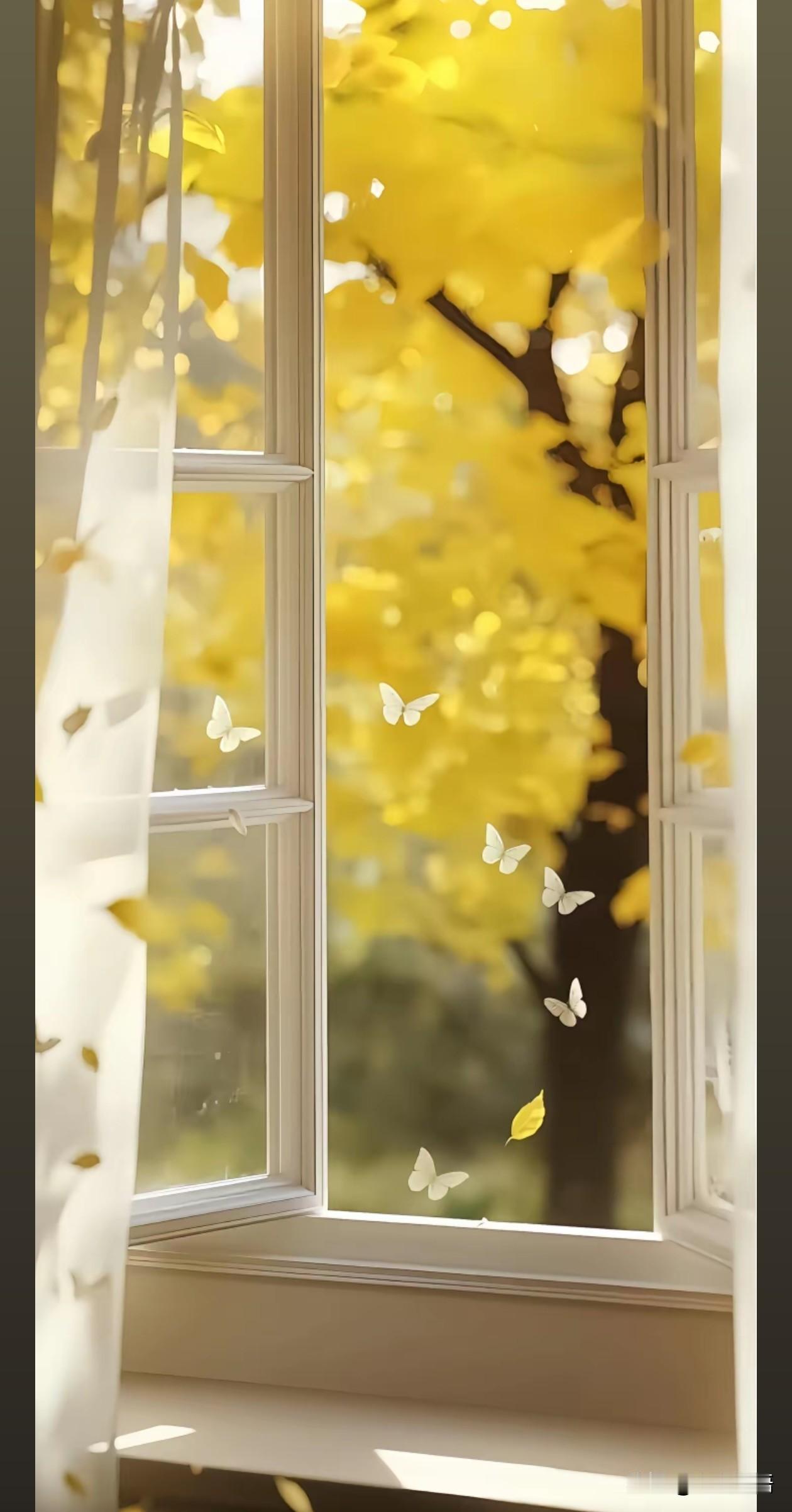 心里没你的人，就别再打扰了人与人之间，靠的是真心，不是讨好。心里有你的人，