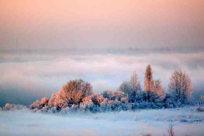伊犁河冬景，仿佛进入了童话世界！