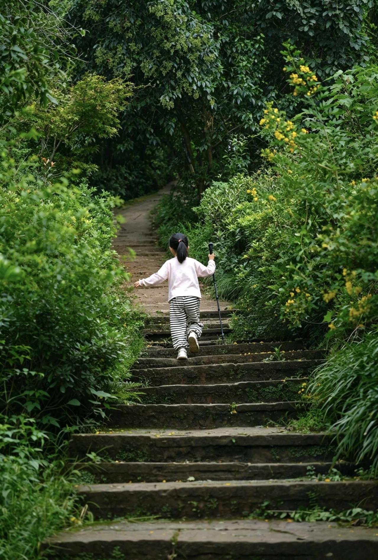 成都亲子徒步｜紫霞山反向爬，人少景更美🌿紫霞山去过很多次了，但大部分人都是从