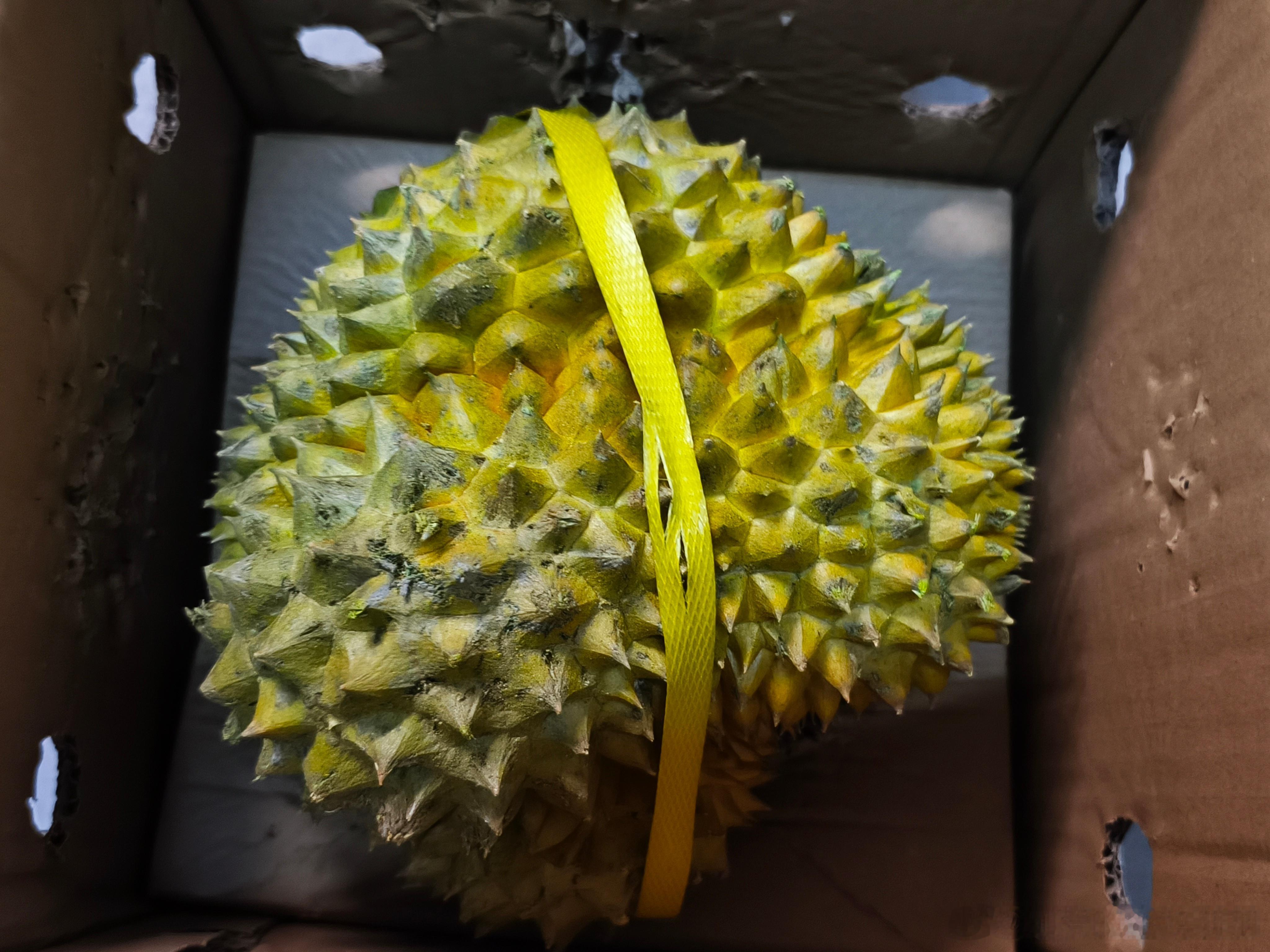id去了连云港！！开心的我又吃了一个榴莲！！爱你！你的那份榴莲我替你吃了！