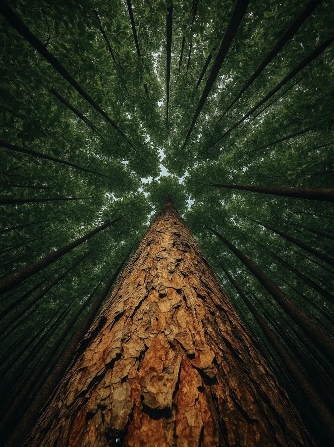 慢下来，才是交易的捷径‼️回望交易之路，最漫长的弯路，皆源于“急于赚钱”的执念。