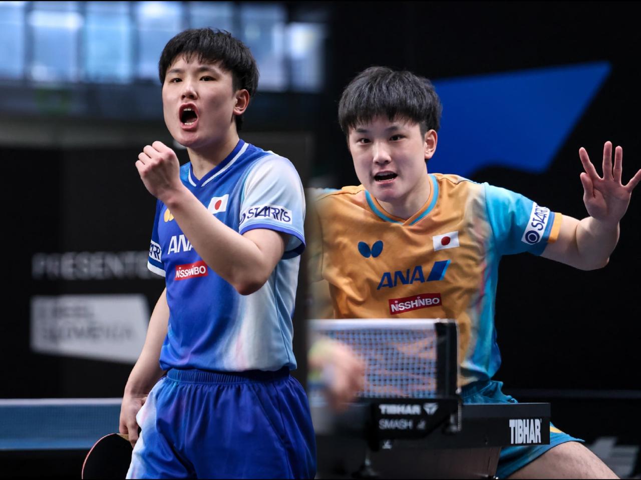 怎么也没料到啊！常驻日本的体育记者酒后爆料，张本智和刚赢了林诗栋，就因不当政治言