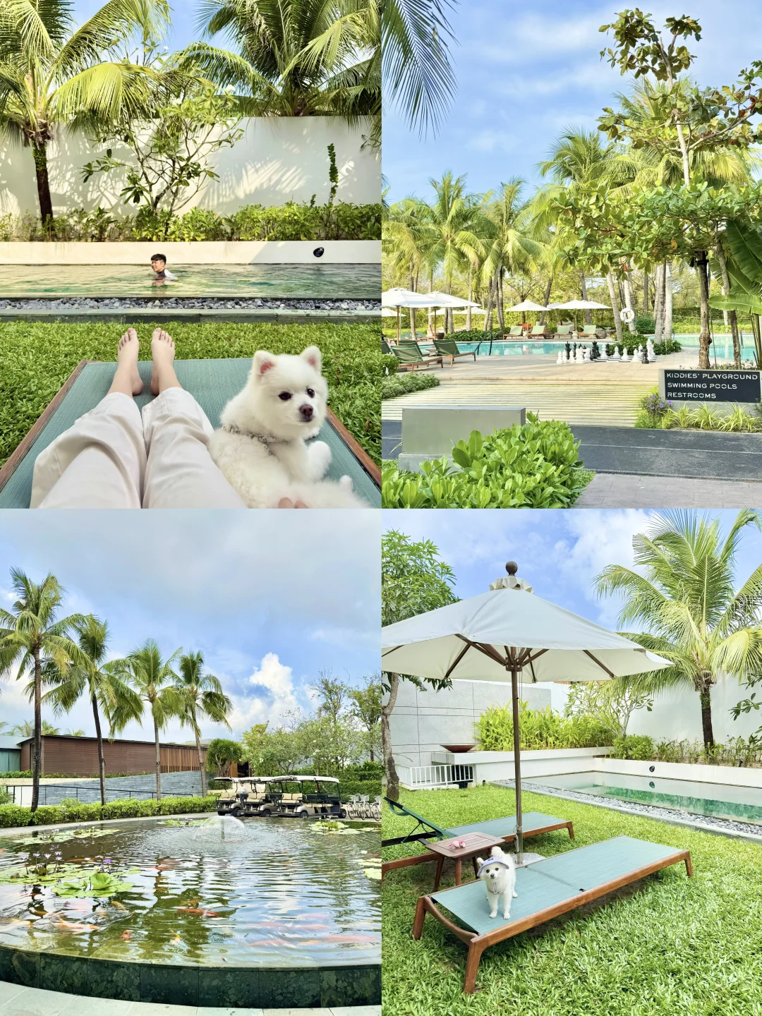 🇻🇳富国岛｜超适合大家庭和小狗的度假村🏡