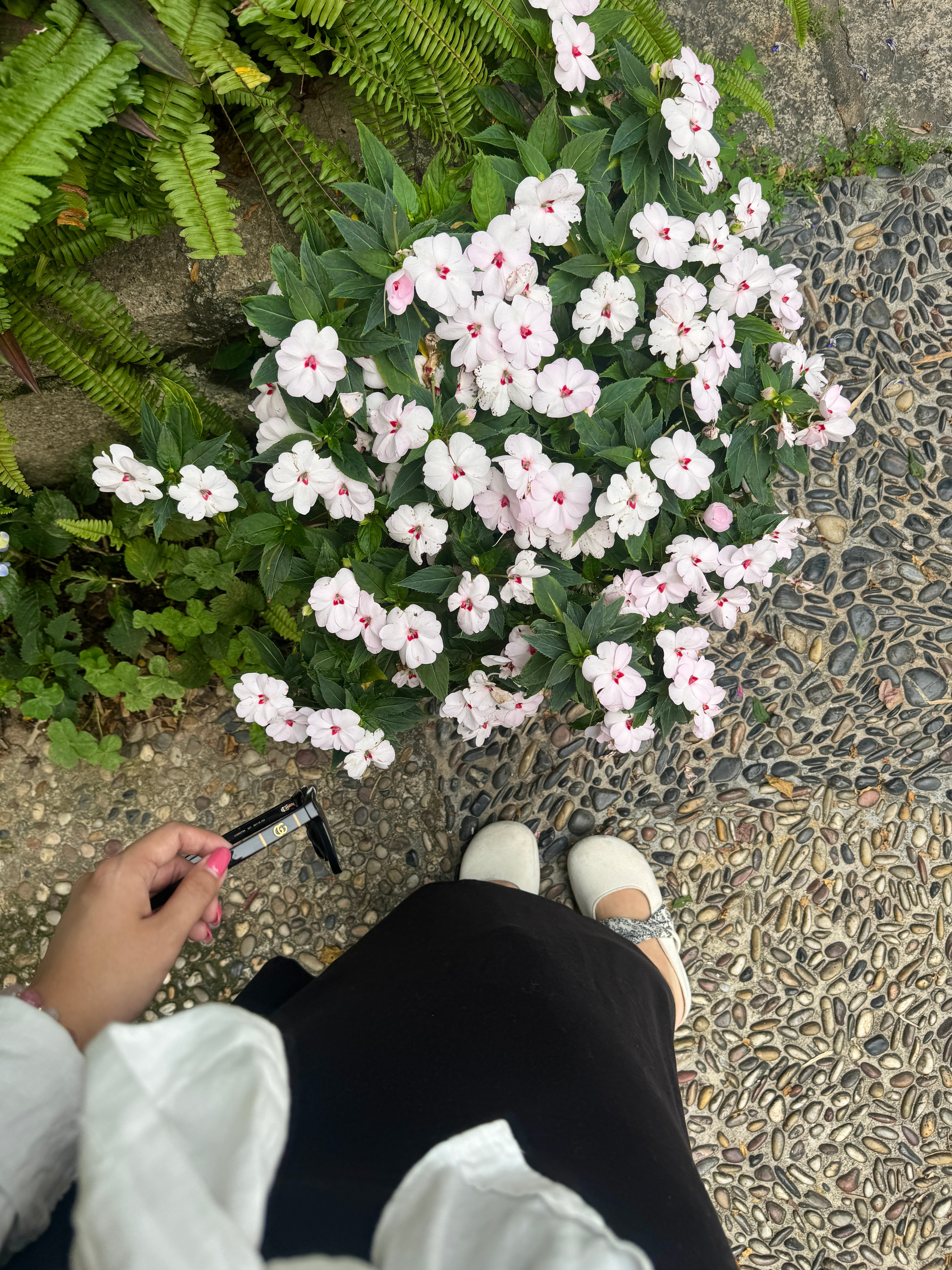 🌿我的音疗老师，康珠说：“喵喵是天选疗愈师，她分享的生活方式，就是疗愈本身。无