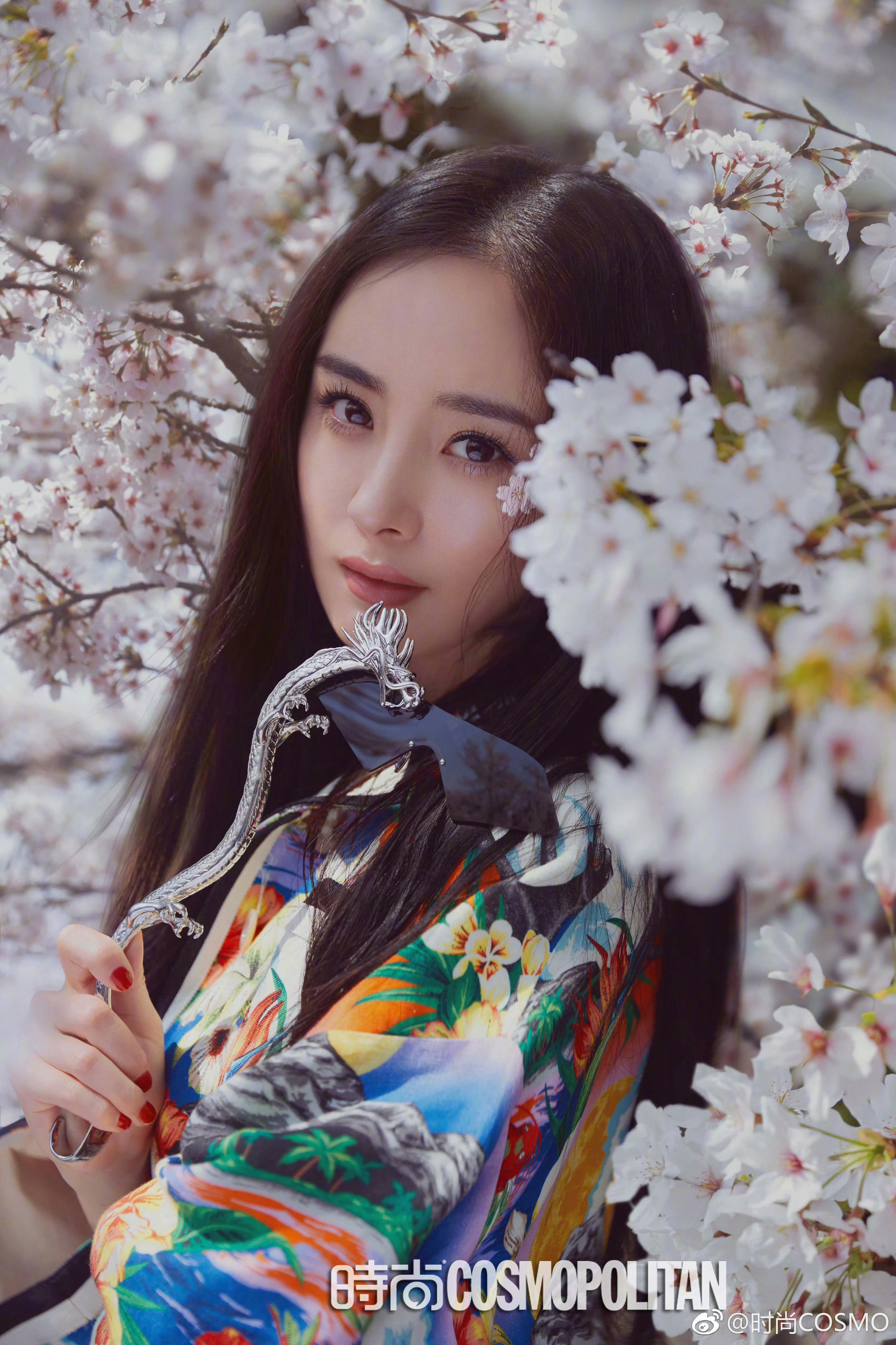 杨幂ym杨幂生万物手持红伞，漫步街头樱为有你，花枝春野希望和你在樱花