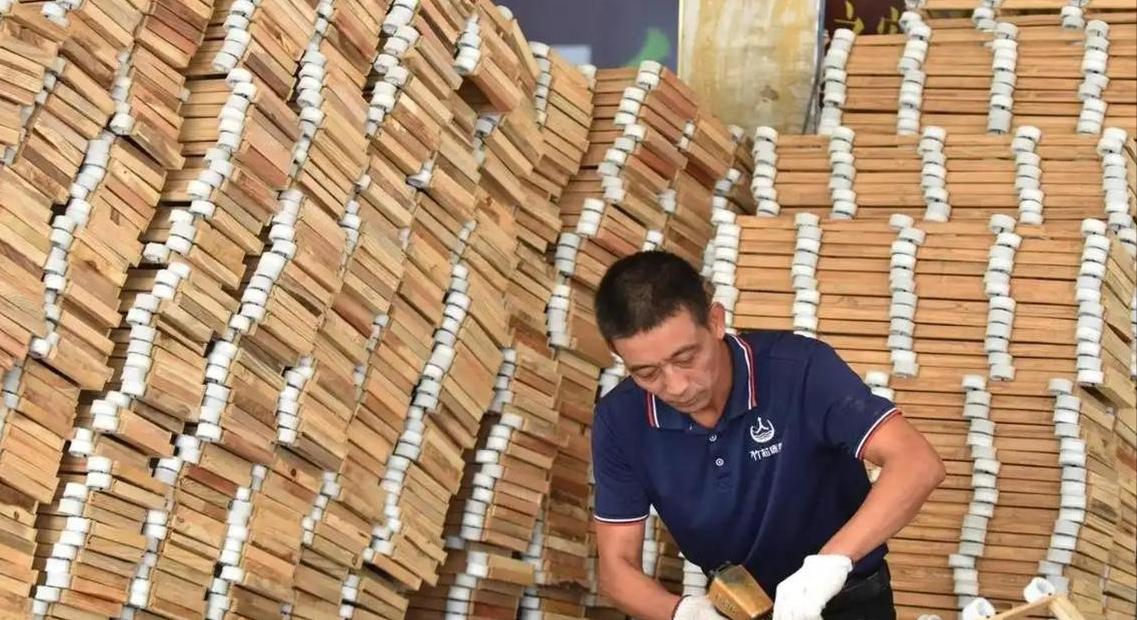 石油大亨最怕的，根本不是电动车，而是中国山里疯长的竹子全球石油不止拿来开车烧
