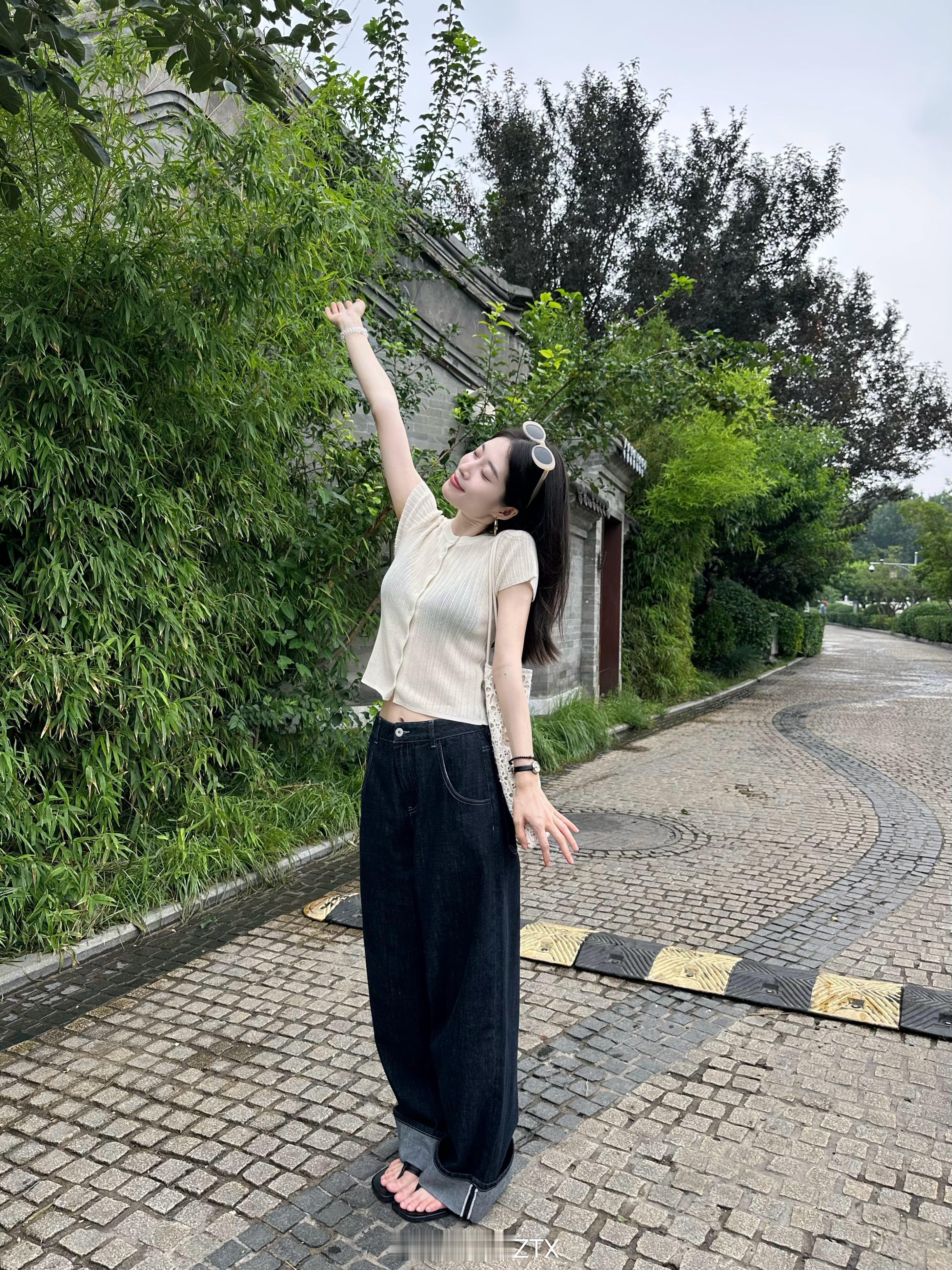 北京胡同的夏天🎼​​​