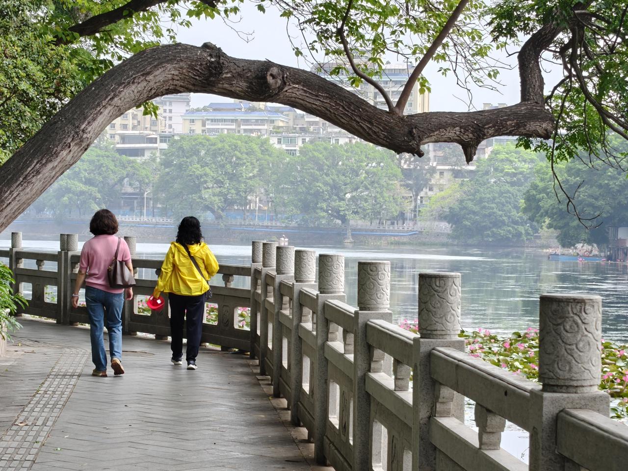惠州西湖百姓乐园早就听说惠州是深圳市的后花园。到了惠州，你就