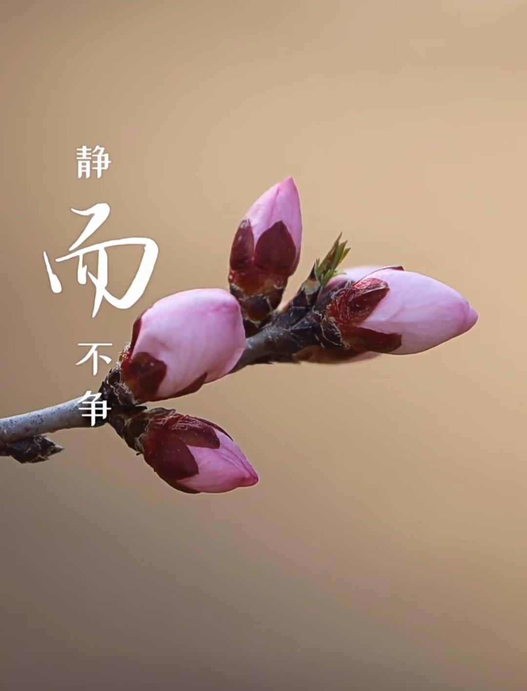 我们对孩子的期望值太高了，高到够不着，所以才有那么多烦恼和焦虑。