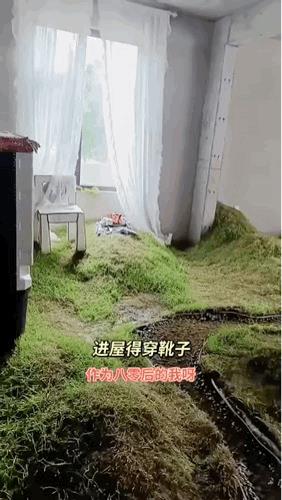谁家会这么装修啊？这都成蚊子窝了。[笑着哭]