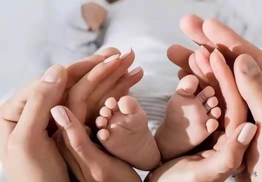 你发现了么？今年幼儿园关闭不少，啥导致的？看数据！2025年