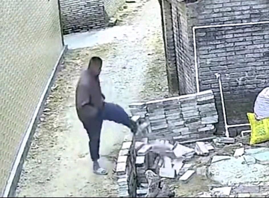 邻居家那用砖头砌成的院子，三番五次被人踹倒，却不知肇事者是谁，这可把他气坏了，当