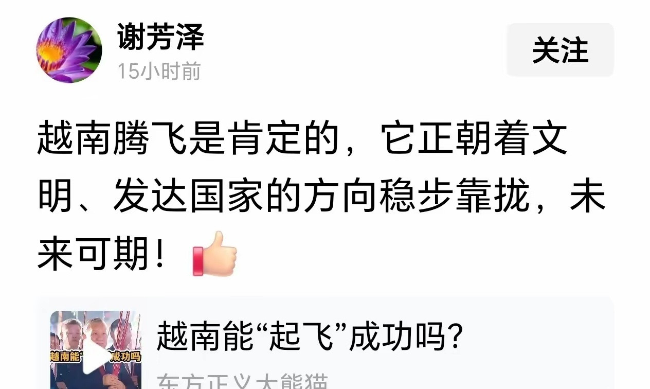 越南在中文互联网天天腾飞