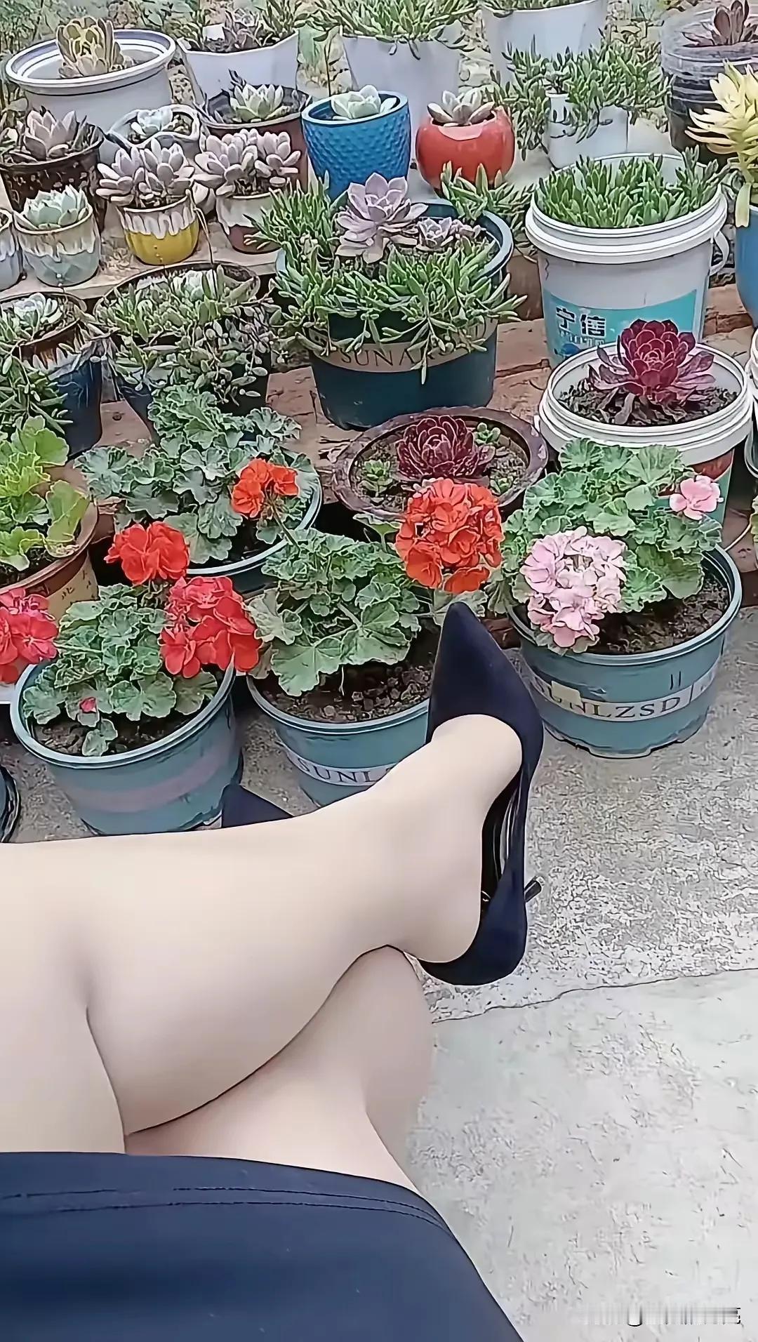 每天在家欣赏自己的这些花卉多肉，就是一大享受，坐在这里我就看着这些植物就会赏心悦